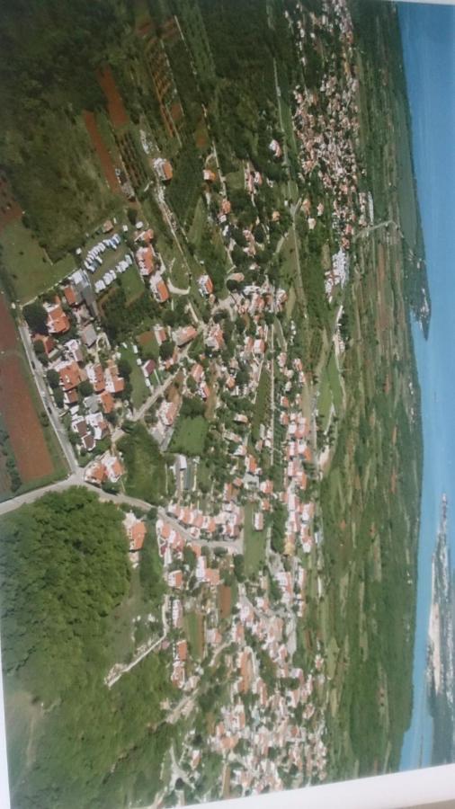 Nona Tar-Vabriga